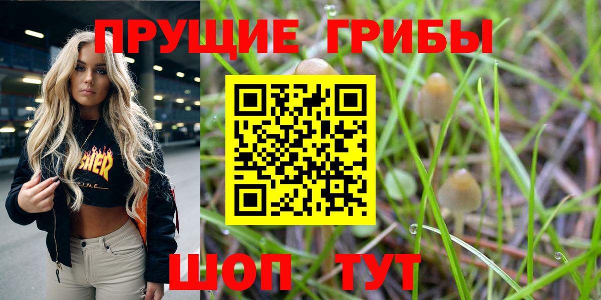 Галлюциногенные грибы Magic Shrooms Острогожск